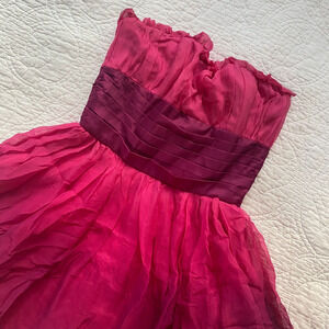Betsey Johnson Pink Ombré Silk Tulle Dress